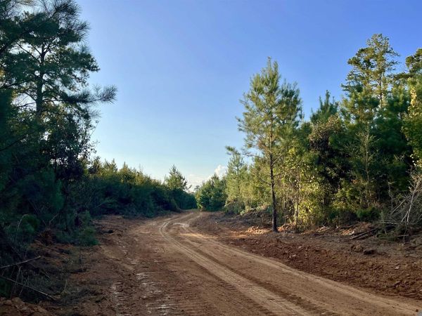 02 La Hwy 448, Greensburg, LA 70441