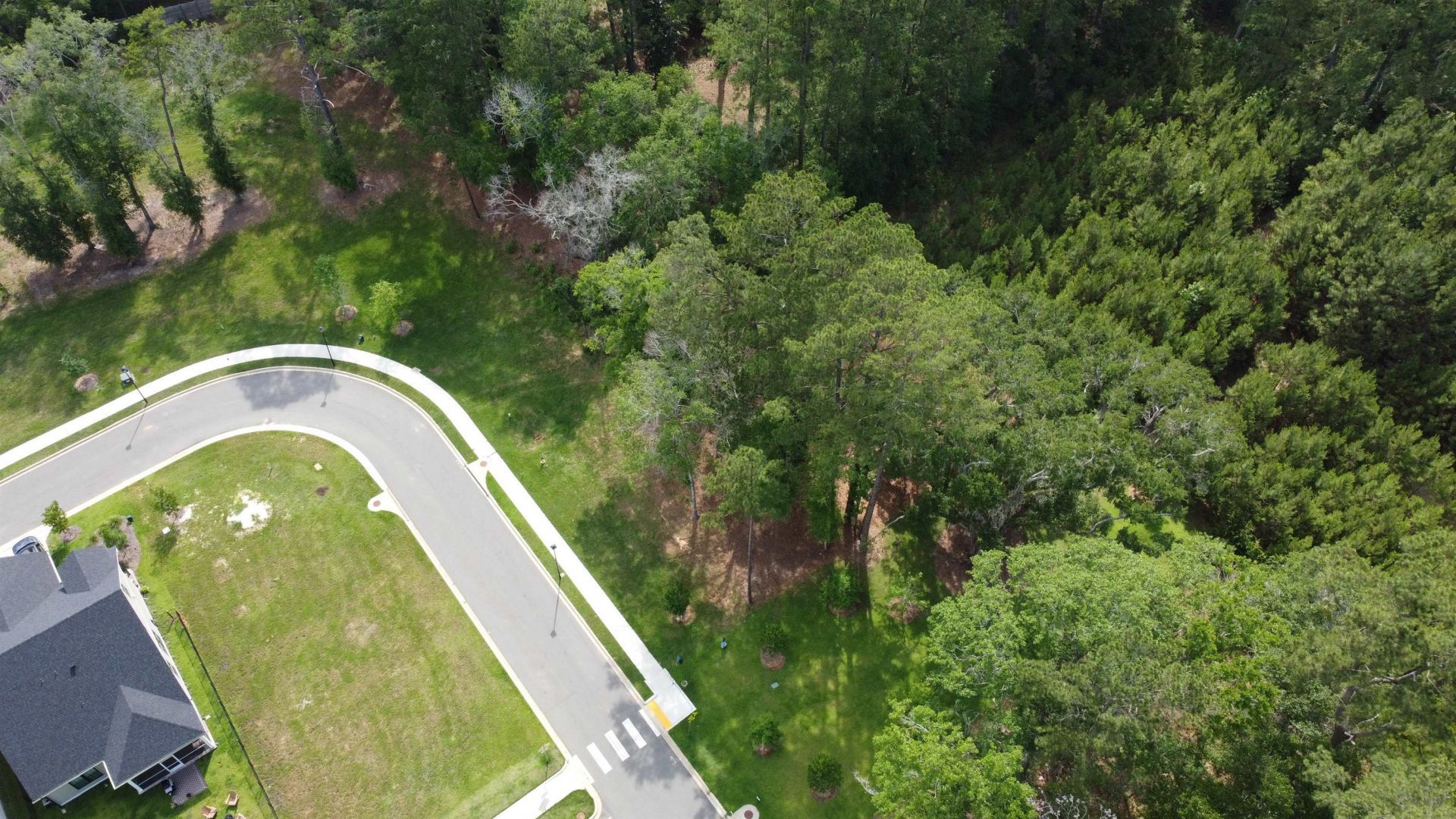Tbd Magazine Street, Tallahassee, FL 32312 Photo