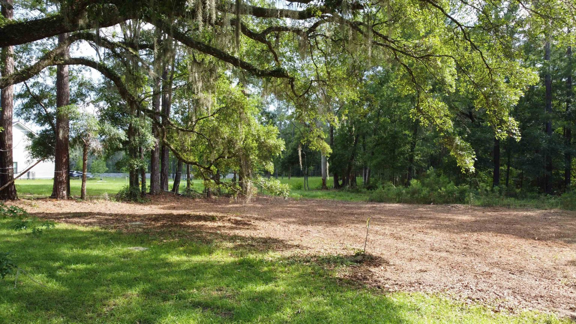 Tbd Magazine Street, Tallahassee, FL 32312 Photo
