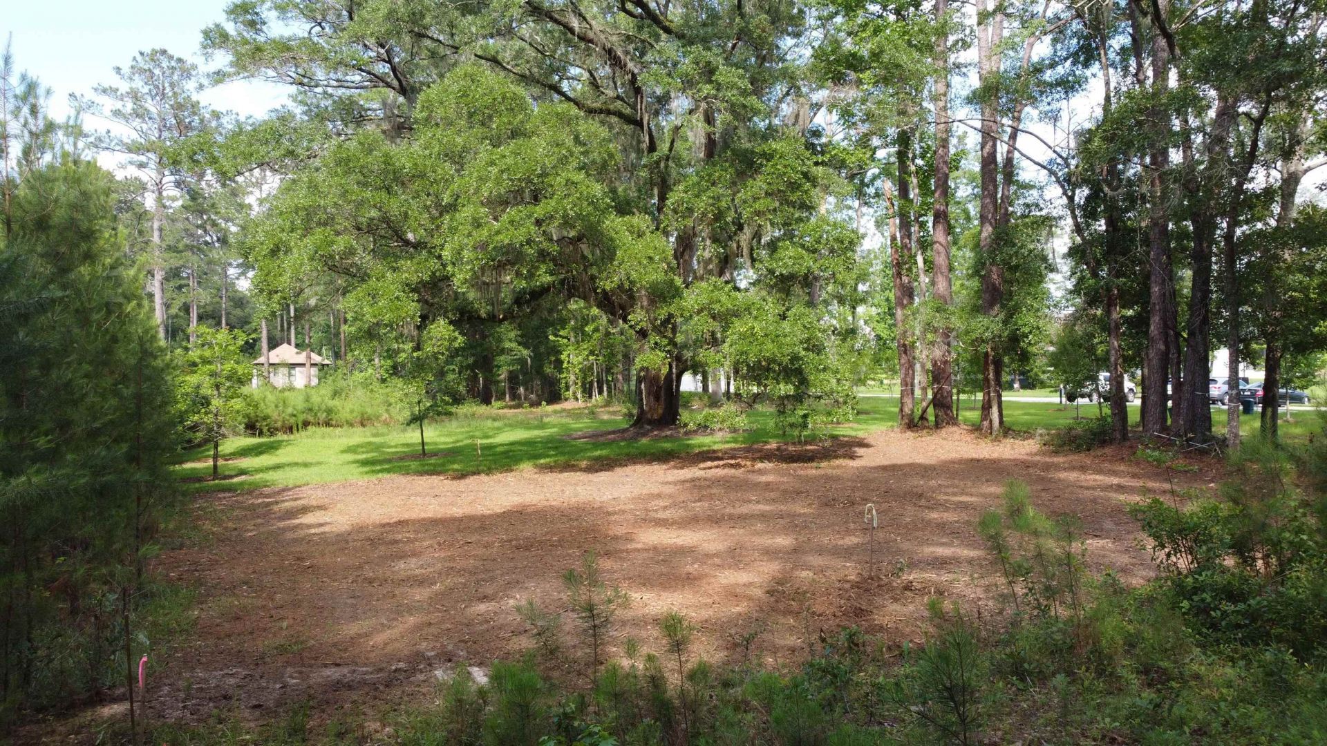 Tbd Magazine Street, Tallahassee, FL 32312 Photo