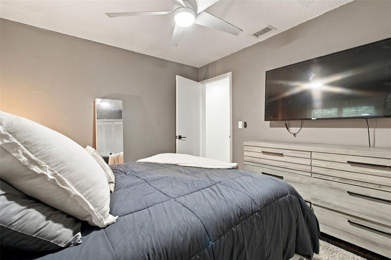 5041 Paloma Drive, Tampa, FL 33624 Photo
