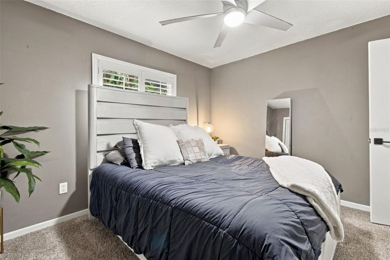 5041 Paloma Drive, Tampa, FL 33624 Photo