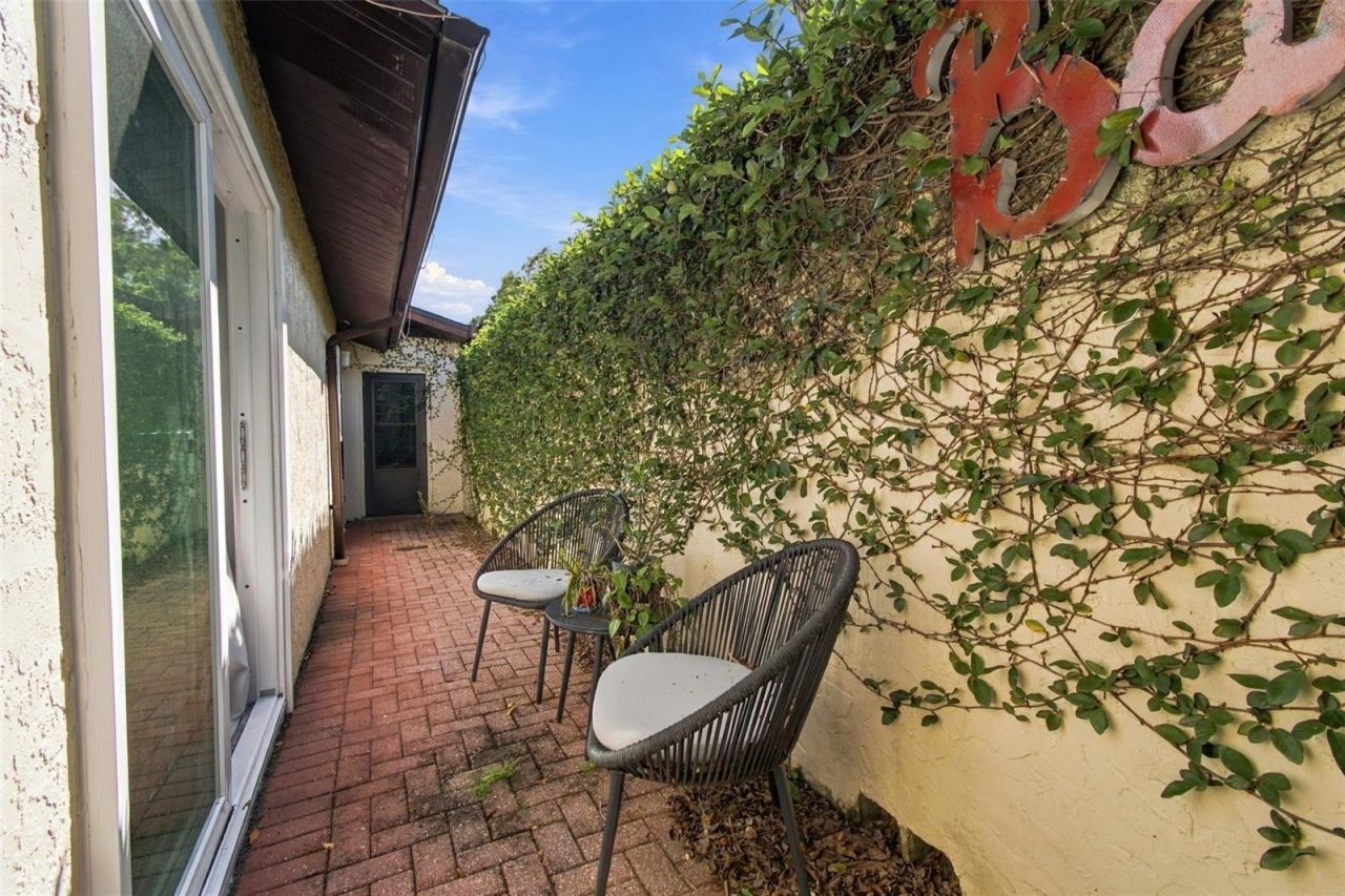 5041 Paloma Drive, Tampa, FL 33624 Photo