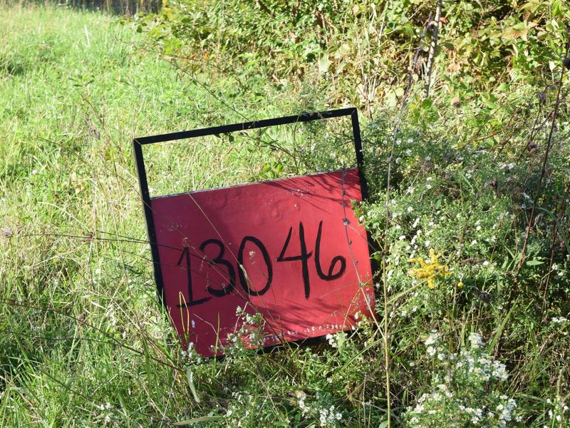 13046 Portie-Flamingo Road SE, Corning, OH 43730 Photo 1