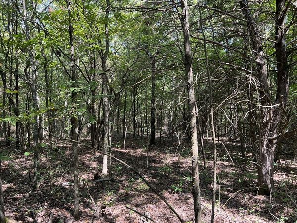 Fairview Drive , Harrison, AR 72601