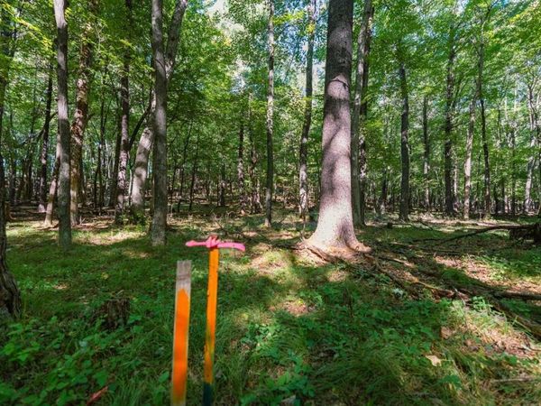 Lot3 815th Avenue , Menomonie, WI 54751