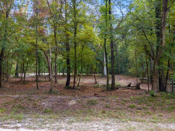 639 NE 298th Ave, Old Town, FL 32680