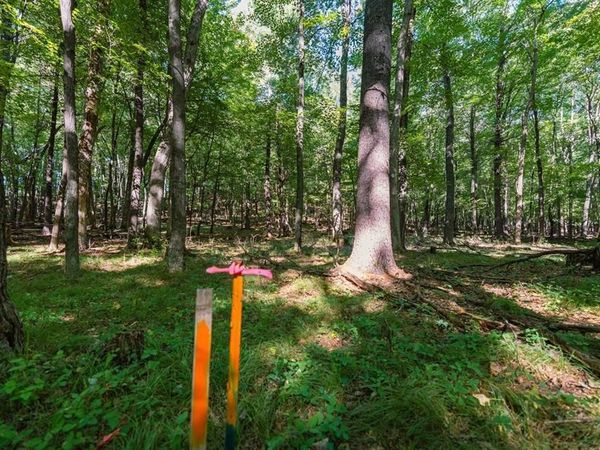 Lot3 815th Avenue, Menomonie, WI 54715