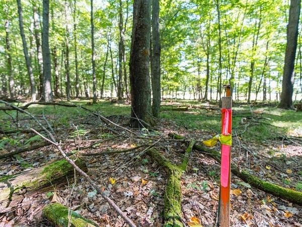 Lot5 815th Avenue, Menomonie, WI 54751