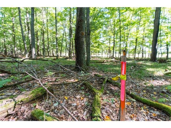 Lot5 815 Avenue, Menomonie, WI 54751