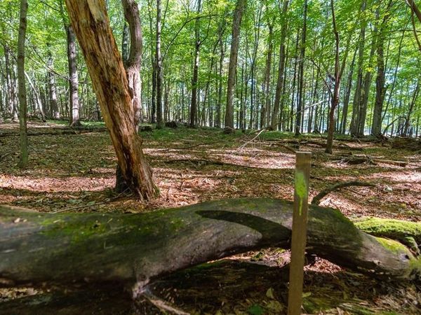 Lot7 815th Avenue, Menomonie, WI 54751