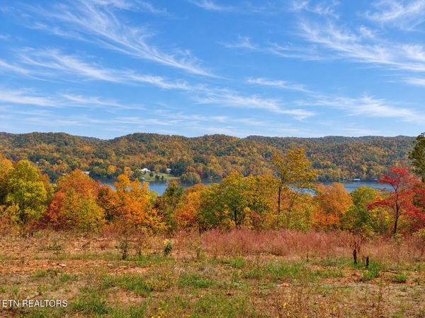 0.77 acres Spruce Drive, Spring City, TN 37381