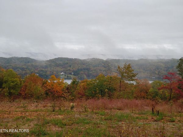 0.77 acres Spruce Drive, Spring City, TN 37381
