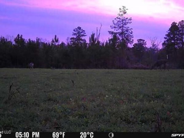 4433 Samuel Lane, Gloster, MS 39638