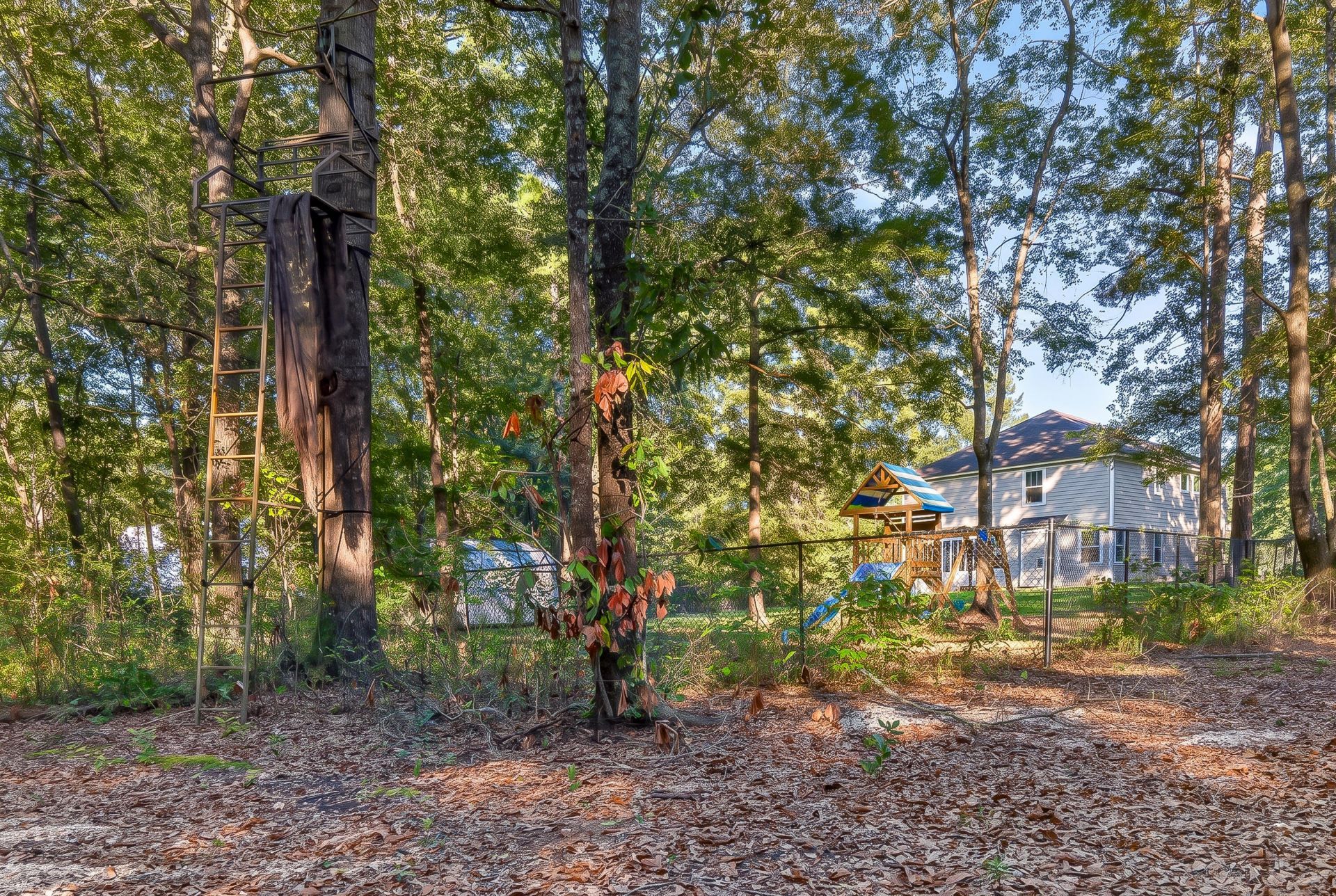 334 Bay Village Lane Photo 58