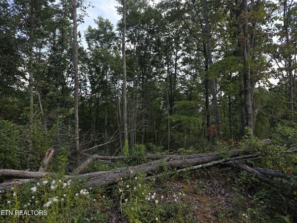 Lot#12 Mill Creek Rd, Sunbright, TN 37872