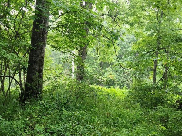 Rockhouse Creek - Church Rd, Pioneer, TN 37847