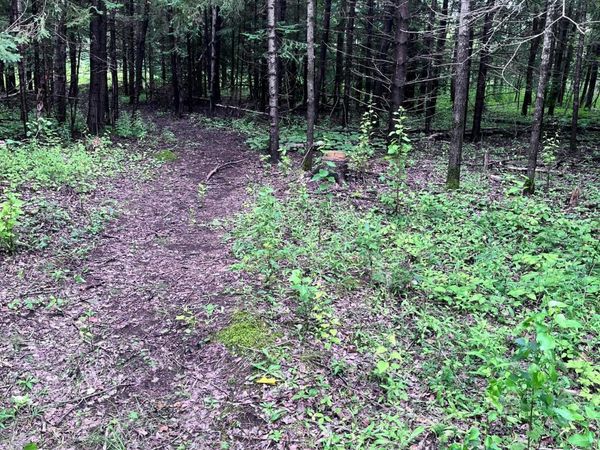 5524 Miller Trunk Highway, Hermantown, MN 55811