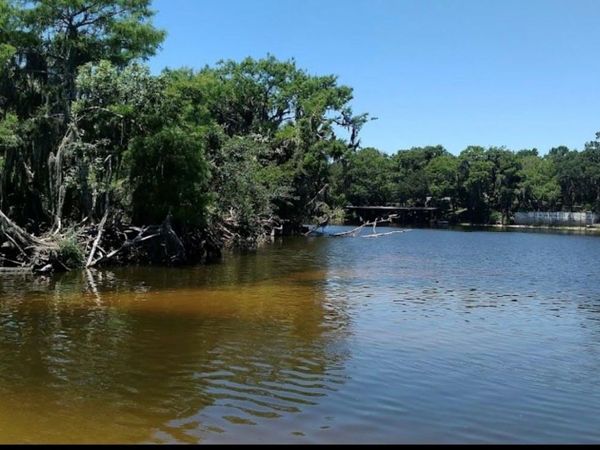 1041 LEMON BLUFF ROAD , OSTEEN, FL 32764