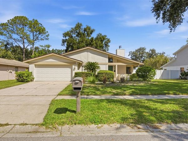 4609 DEERWALK AVENUE , TAMPA, FL 33624