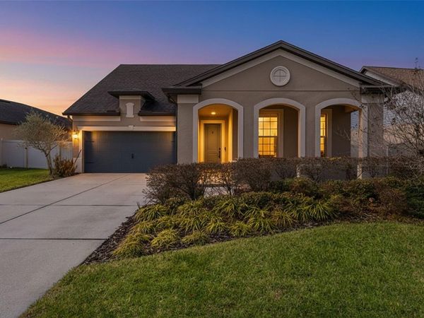 8296 OLIVE BROOK DRIVE , WESLEY CHAPEL, FL 33545