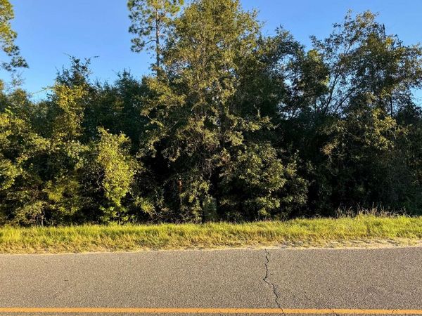 LOT 4 SW CR 49, Jasper, FL 32052
