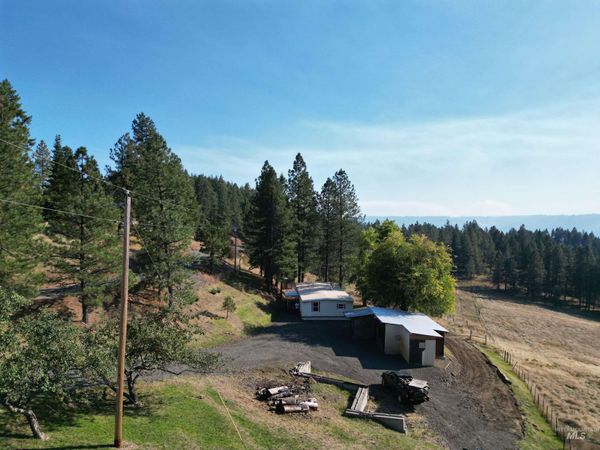 4099 Lakeview Road, Orofino, ID 83544