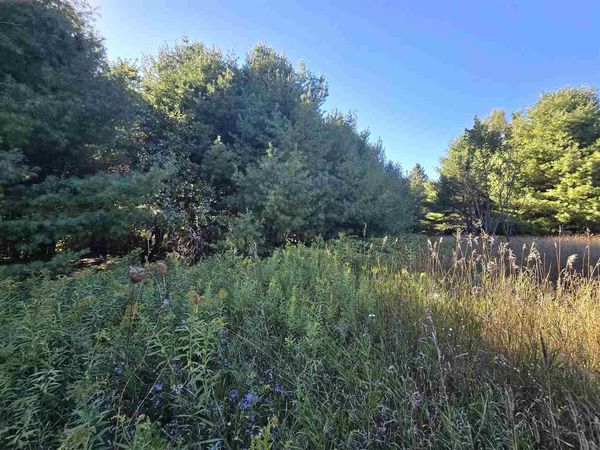 10534 Sunset Drive, Carp Lake, MI 49718