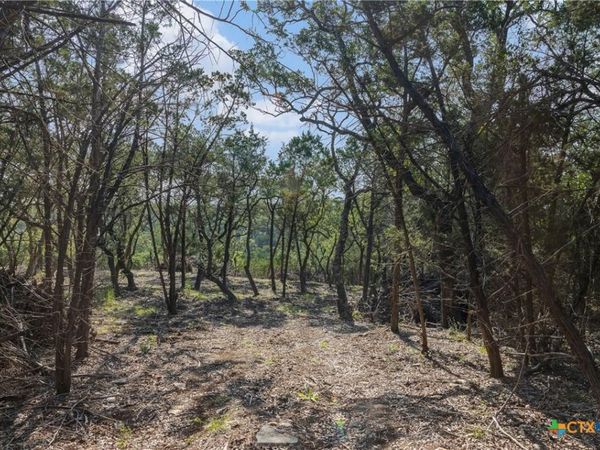 601 Mount Olive School Road , Wimberley, TX 78676