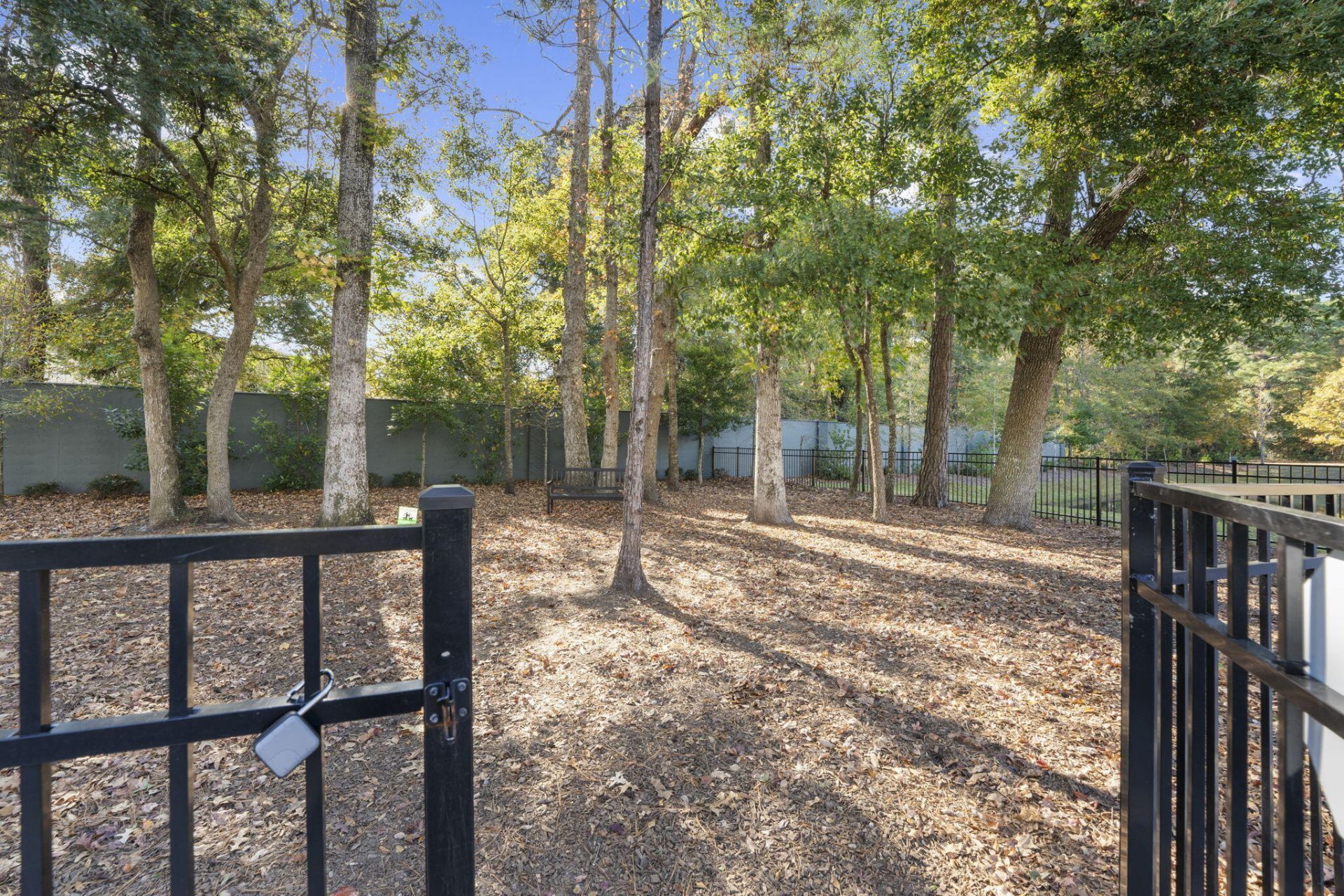 1265 Allusion Lane Photo 18