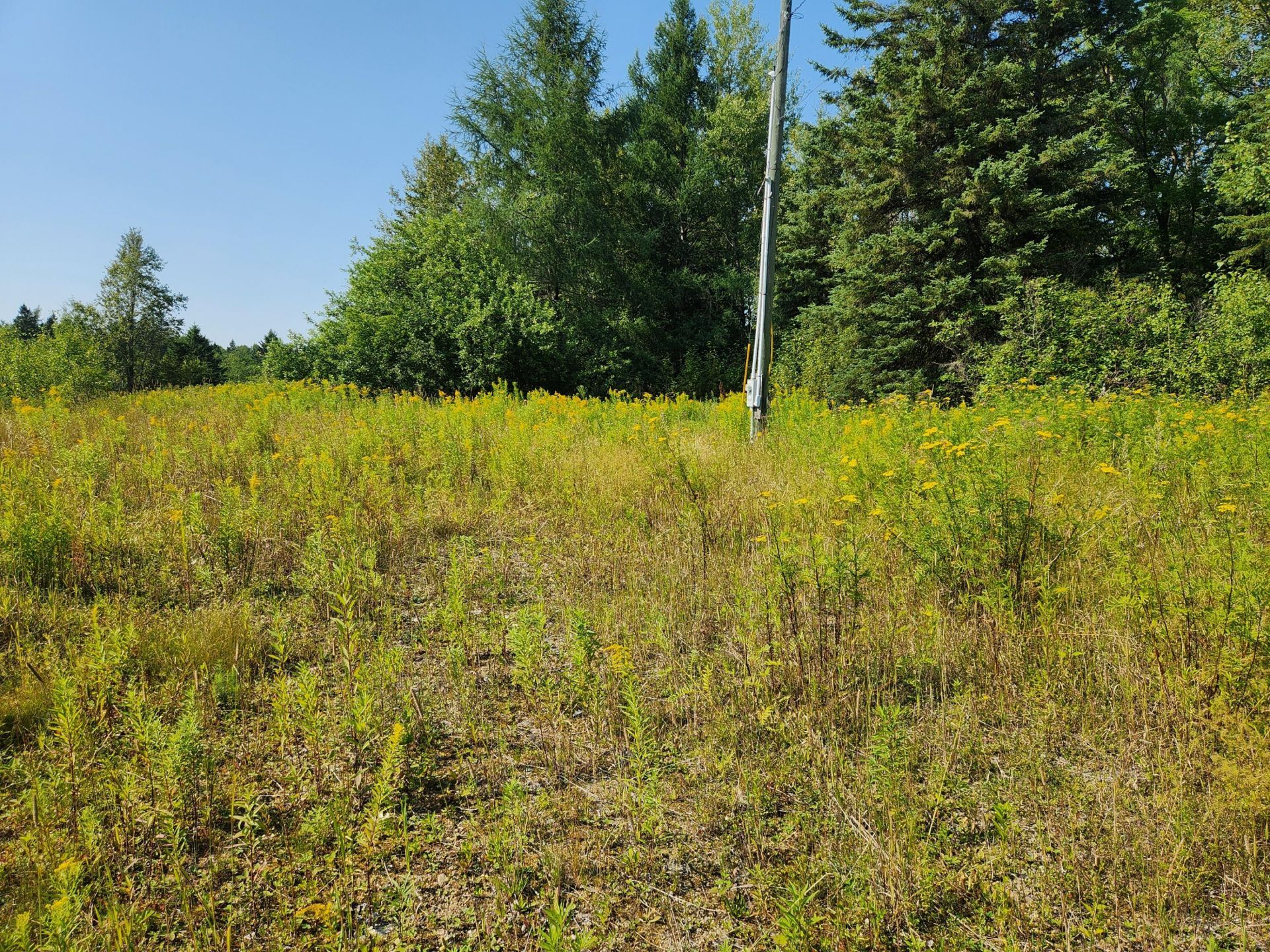 290 Burleigh Road, Westfield, ME 04787 Main Photo