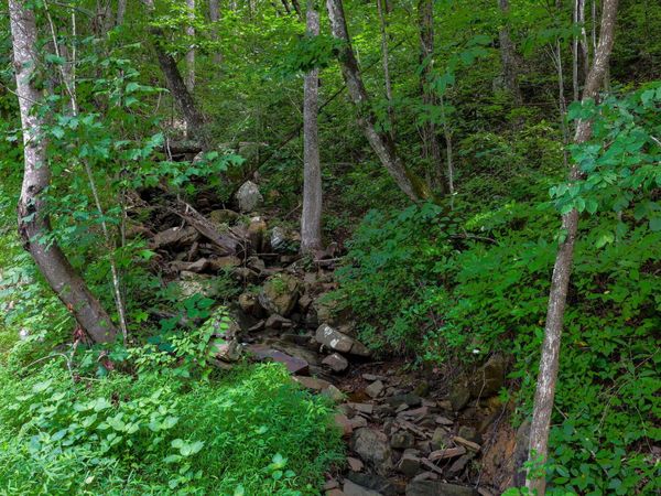 0 Lee Station Mountain Road, Pikeville, TN 37367
