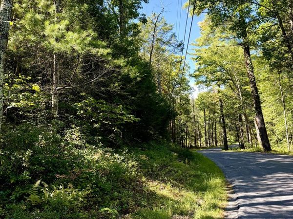 Lot 2 Bennett Road, Napanoch, NY 12458