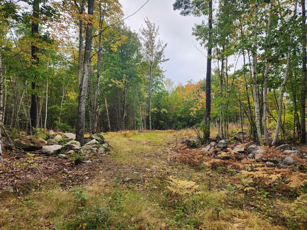 Lot 6 Willy's Way, Buckfield, ME 04220