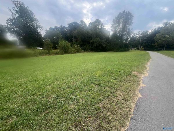 Lot 1 Junkins Road, Guntersville, AL 35976