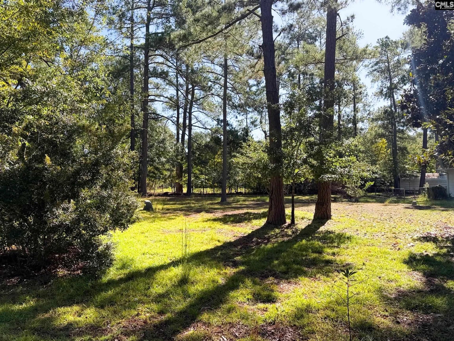 2133 Blue Horse Circle Photo 5