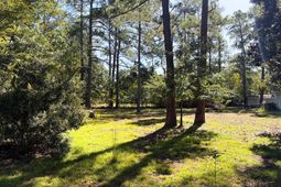 2133 Blue Horse Circle photo 4