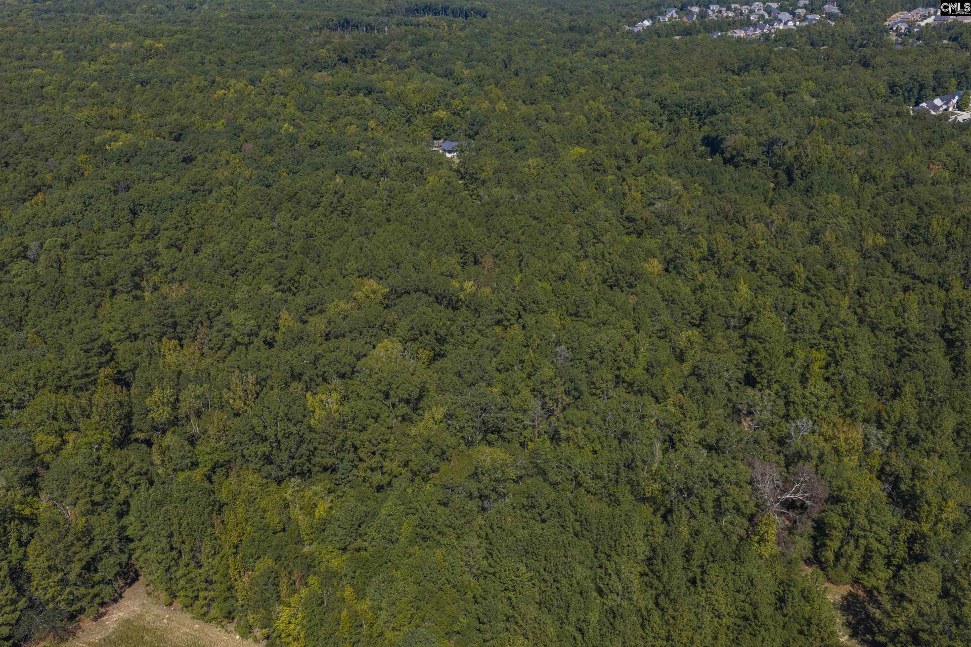 349 Turkey Farm Road  Photo 45