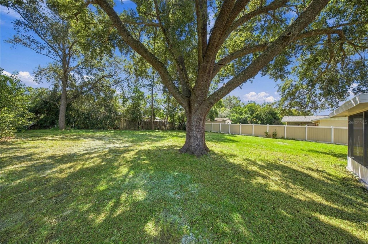 21234 SW Raintree Street , Dunnellon, FL 34431 Photo