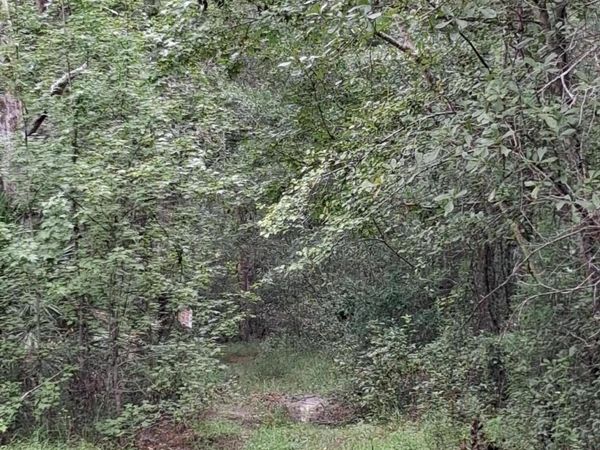 0 SKIPPER Road, Middleburg, FL 32068