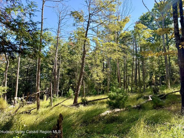 Lot 8 Brandy Brook Road, Napanoch, NY 12458