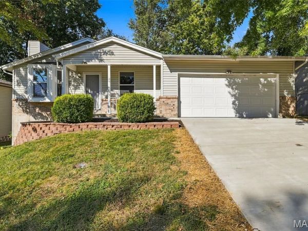 2519 Frances Avenue, Unincorporated, MO 63114