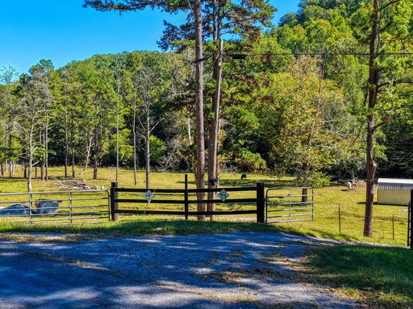 628 Grassy Creek, Rogersville, TN 37857