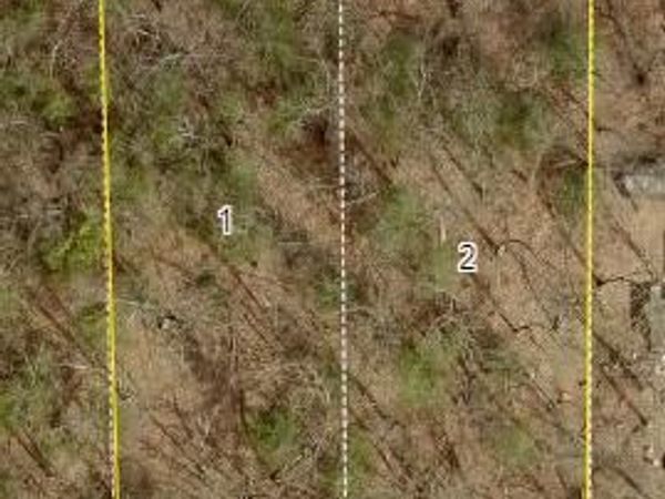 Monroe Vacant Land 2 Parcels Road, Allegan, MI 49010