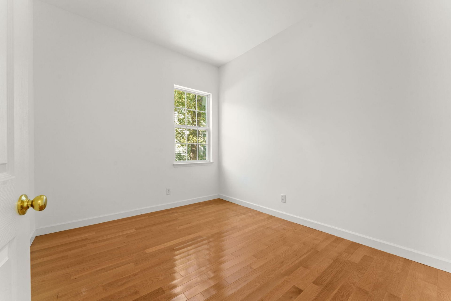 3407 Toomer Kiln Circle Photo 42