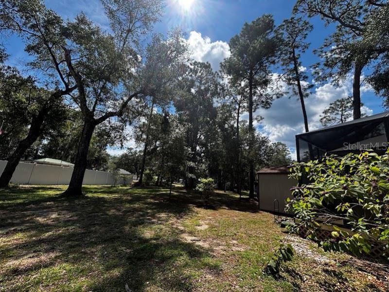 14195 NE 252nd Court Road, Unit 109, Salt Springs, FL 32134 Photo