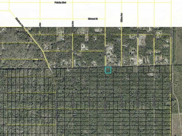 X DIVISION STREET , HASTINGS, FL 32145
