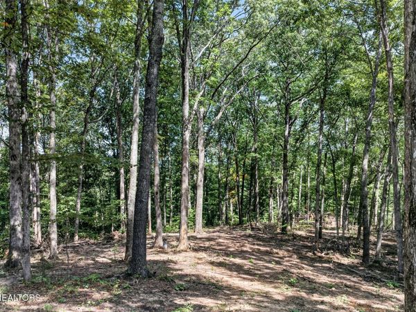 40 Pioneer Trail Lane , Unit 40, Crawford, TN 38554