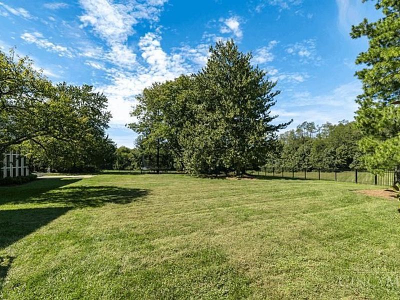 5025 Rollman Estates Drive, Amberley, OH 45236 Photo 79