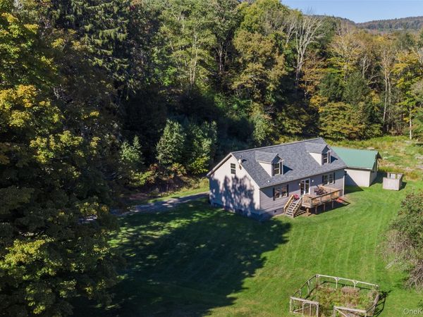 3 Parks Road , Livingston Manor, NY 12758